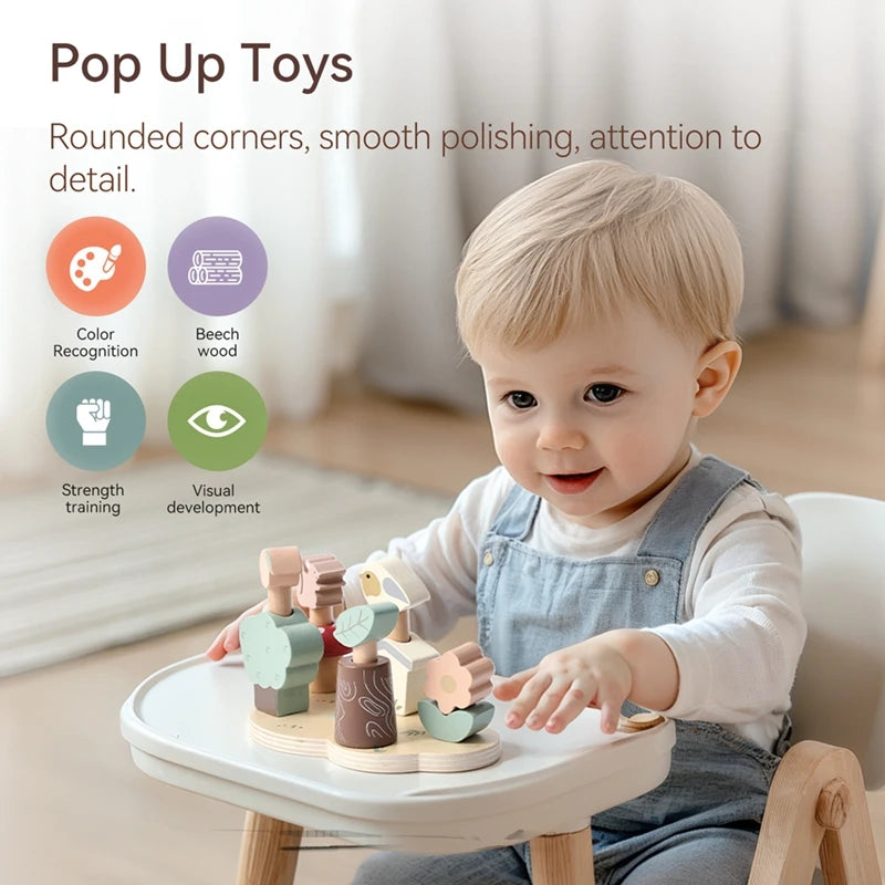 Wooden Shape Matching Toy