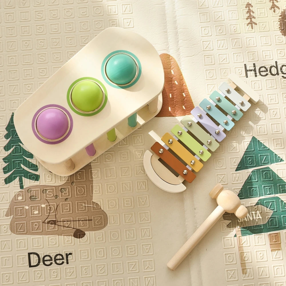 Pound & Tap Xylophone Toy