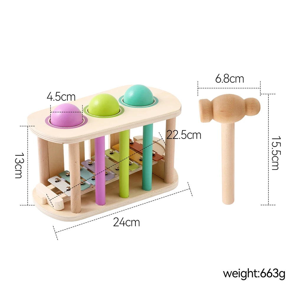 Pound & Tap Xylophone Toy