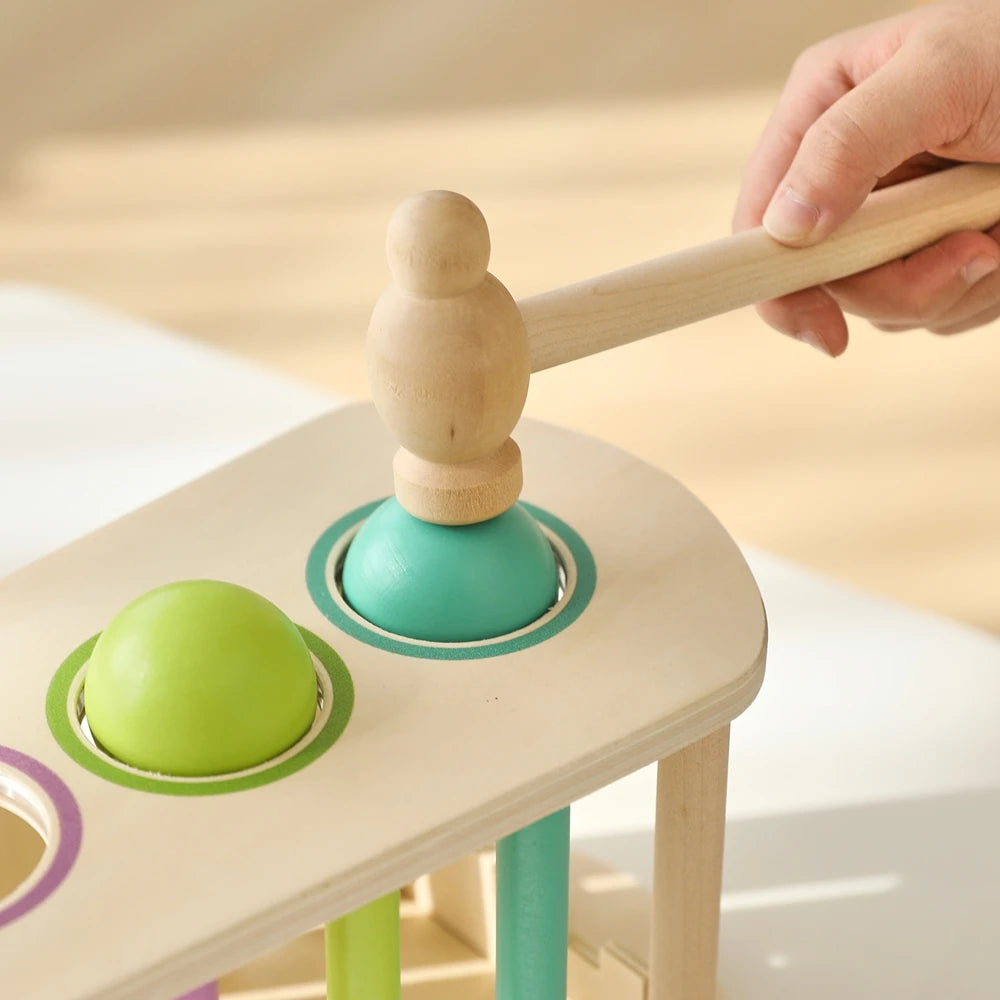 Pound & Tap Xylophone Toy