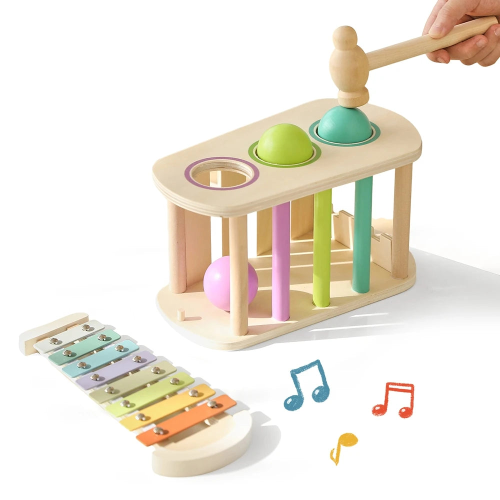 Pound & Tap Xylophone Toy