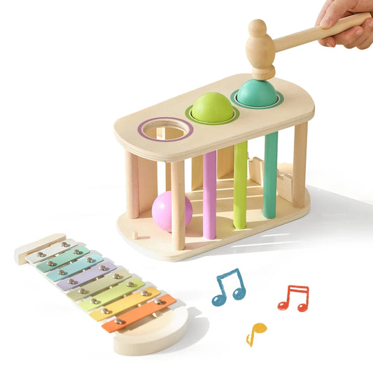Pound & Tap Xylophone Toy