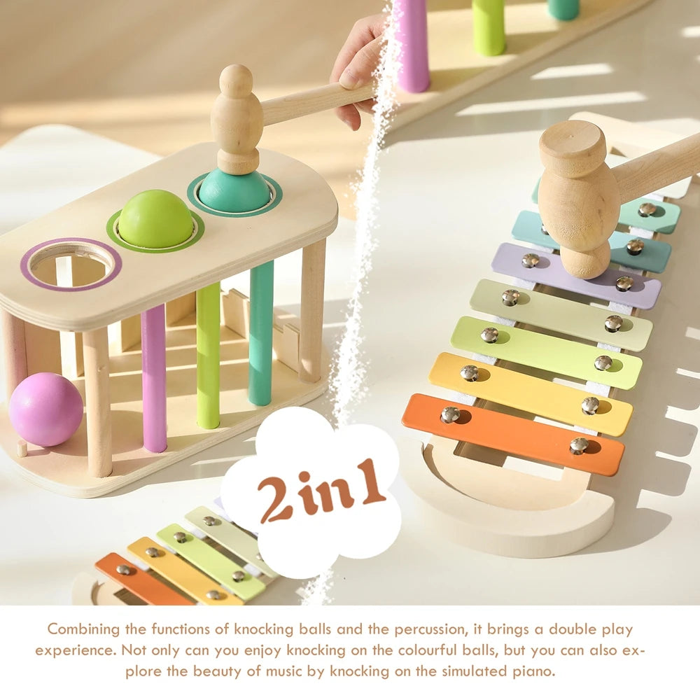 Pound & Tap Xylophone Toy