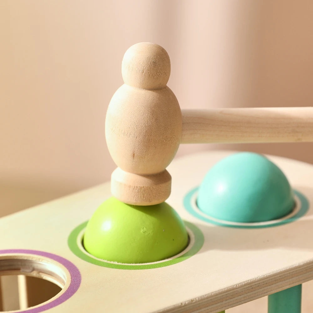 Pound & Tap Xylophone Toy