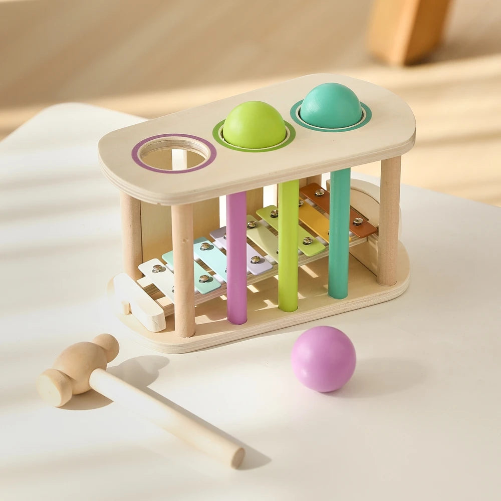 Pound & Tap Xylophone Toy