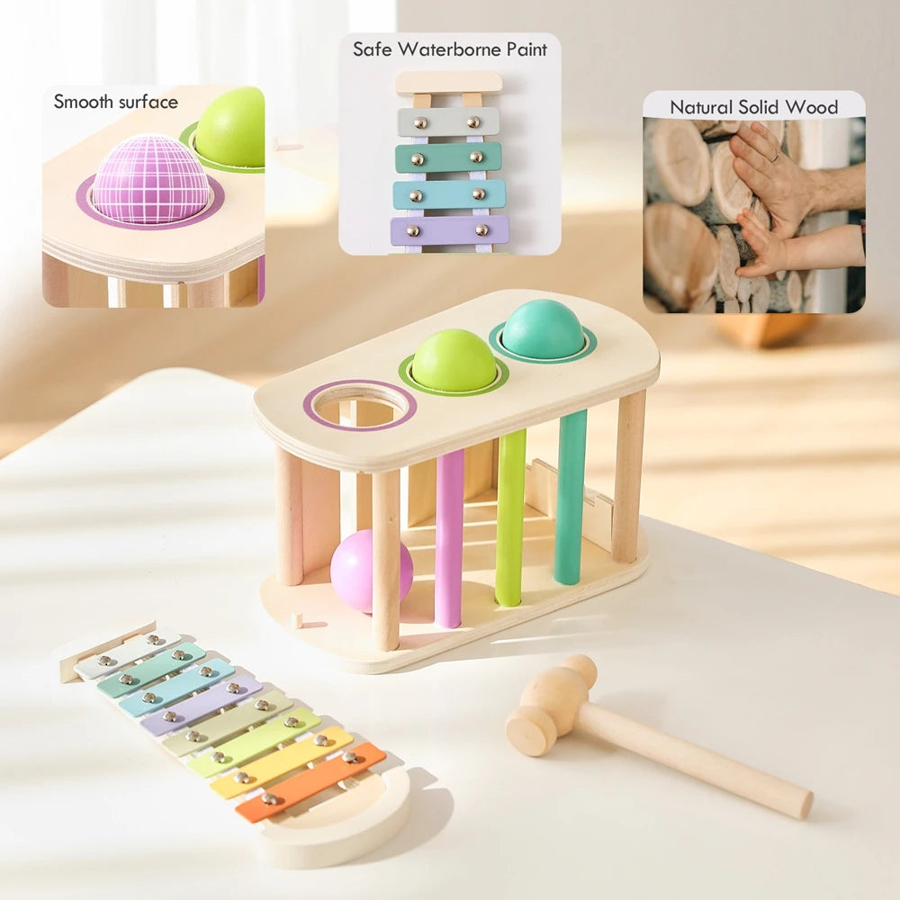 Pound & Tap Xylophone Toy