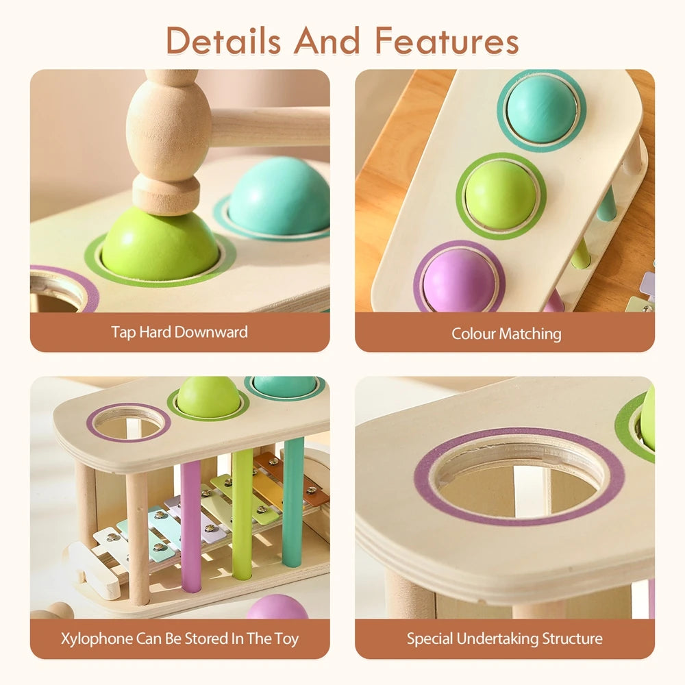 Pound & Tap Xylophone Toy