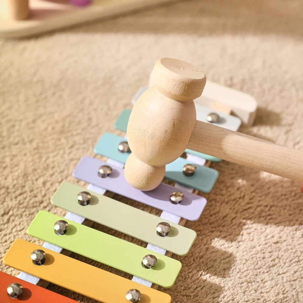 Pound & Tap Xylophone Toy