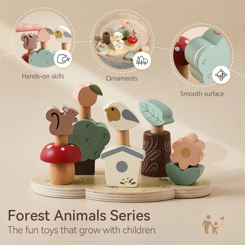Wooden Shape Matching Toy